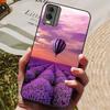 Чехол для Nokia C32 Силиконовый Расписной Мягкий Защитный Черный Coque для Nokia C32 Чехлы G 32 Бампер для NokiaC32 Милые Котики