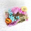 Сухоцветы Домашняя фотография Реквизит DIY Орнамент Ремесло Образец Аксессуары