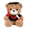 Graduation Bear Plush Toy, Doctor Bear Stuffed Animal in Gown, College Graduate Gift, Christmas Present, Soft Cuddly 12 Inches