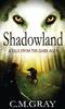Книга Shadowland : 1