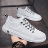 New Casual Shoes In Spring Men's Board Shoes Fashion Breathable Small White Shoes Men's Sneakers Low Top Leather Board