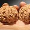 Lion's Head Wenwan Walnut Karzilan Big Eyes Boutique - Authentic Old Tree Fruit Collection