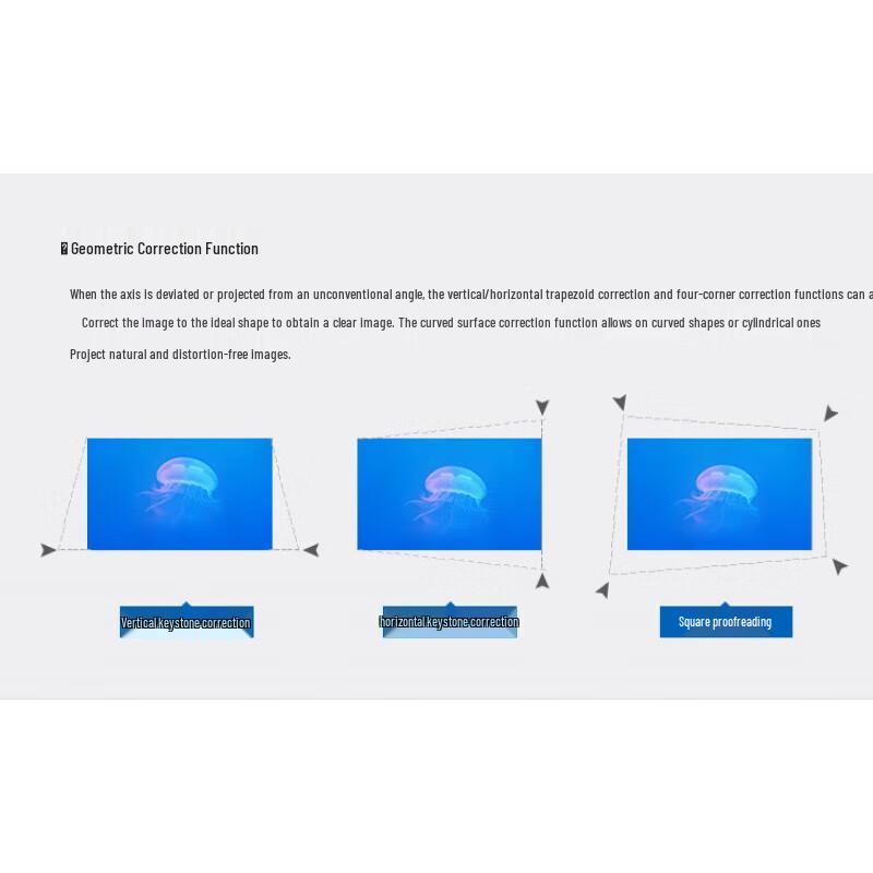 Panasonic PT-BX431C Business Projector (CN version)