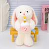 Aiji Rabbit Plush Toy Cute Little Rabbit Doll Doll Companionship and Comforting Doll Girl Gift
