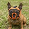 Soft Short Snout Muzzle Breathable Anti Bite Muzzle Snug Fit Flat Face Muzzle  Bite Prevention
