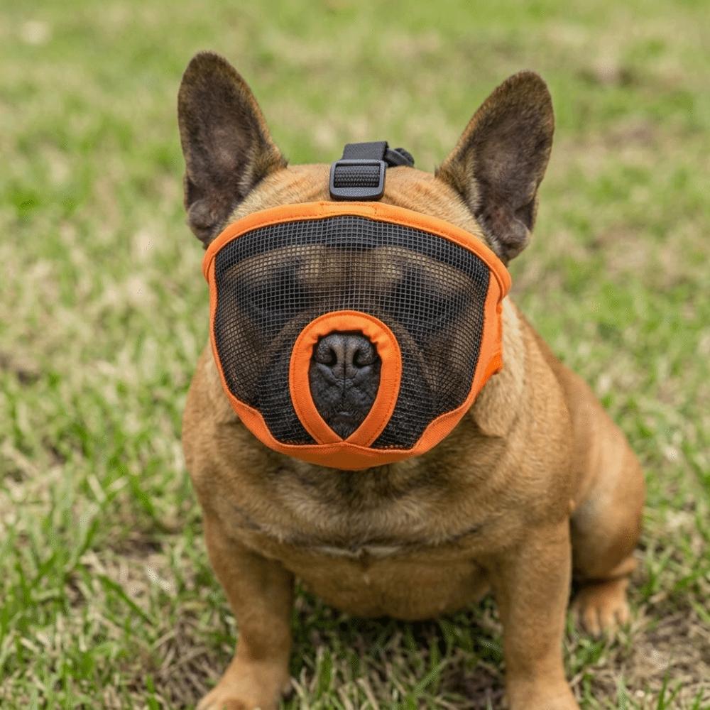 Soft Short Snout Muzzle Breathable Anti Bite Muzzle Snug Fit Flat Face Muzzle Bite Prevention