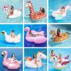 Rainbow Wing Pegasus Inflatable Pool Float