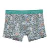 Paul Joe Gray Boxer Briefs & Men's
