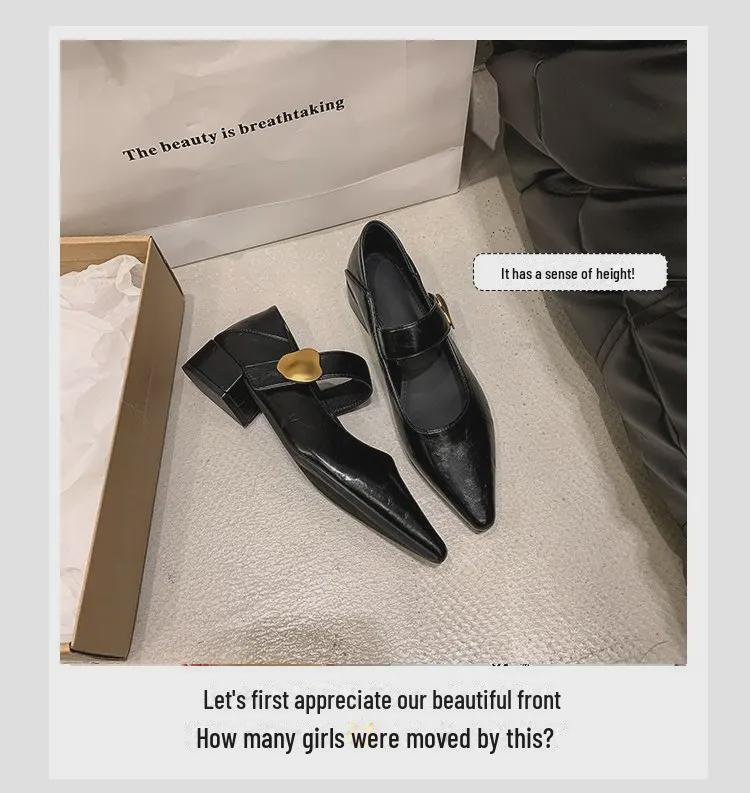 Женские туфли Mary Jane из кожи на толстом каблуке с острым носком, осень 2024 г. - средний каблук, британский повседневный стиль