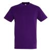 SOLS Mens Regent Short Sleeve T-Shirt