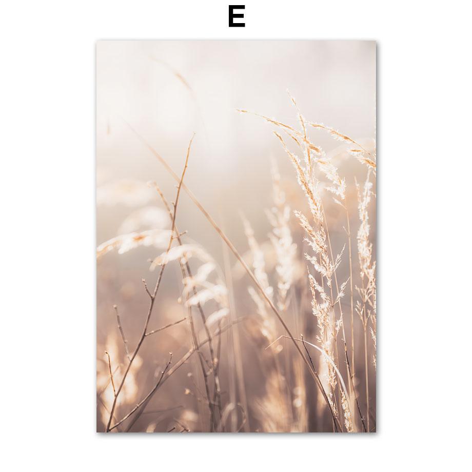 Бежевый тростник орхидея велосипед пейзаж плакаты и принты холст картины настенные художественные картины для гостиной домашний декор эстетика