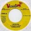 7-дюймовая пластинка TURBULENCE / BLACK PANTHER - I Am Bless / In My World Vikings 2005 Ямайка Регги, Ска и Даб