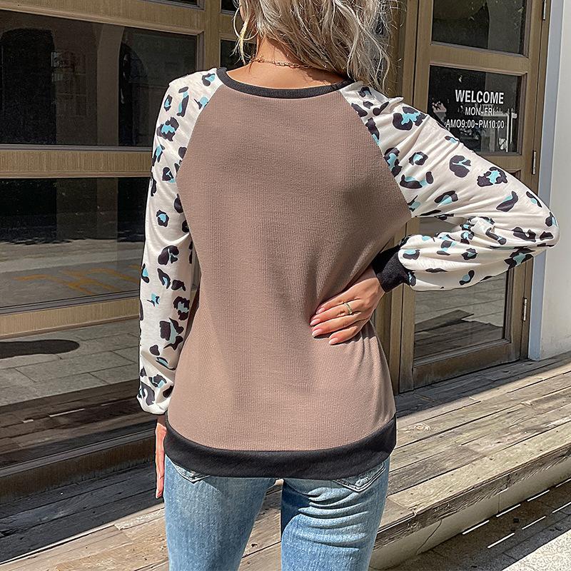 Women's Knitwear, Color-Block, Leopard Print, Long Sleeve for Fall and Winter