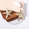 Металлический холодный ветер пляжный отпуск преувеличенный кулон-морская звезда серьги-гвоздики набор, легкая роскошь высококачественная универсальная модель