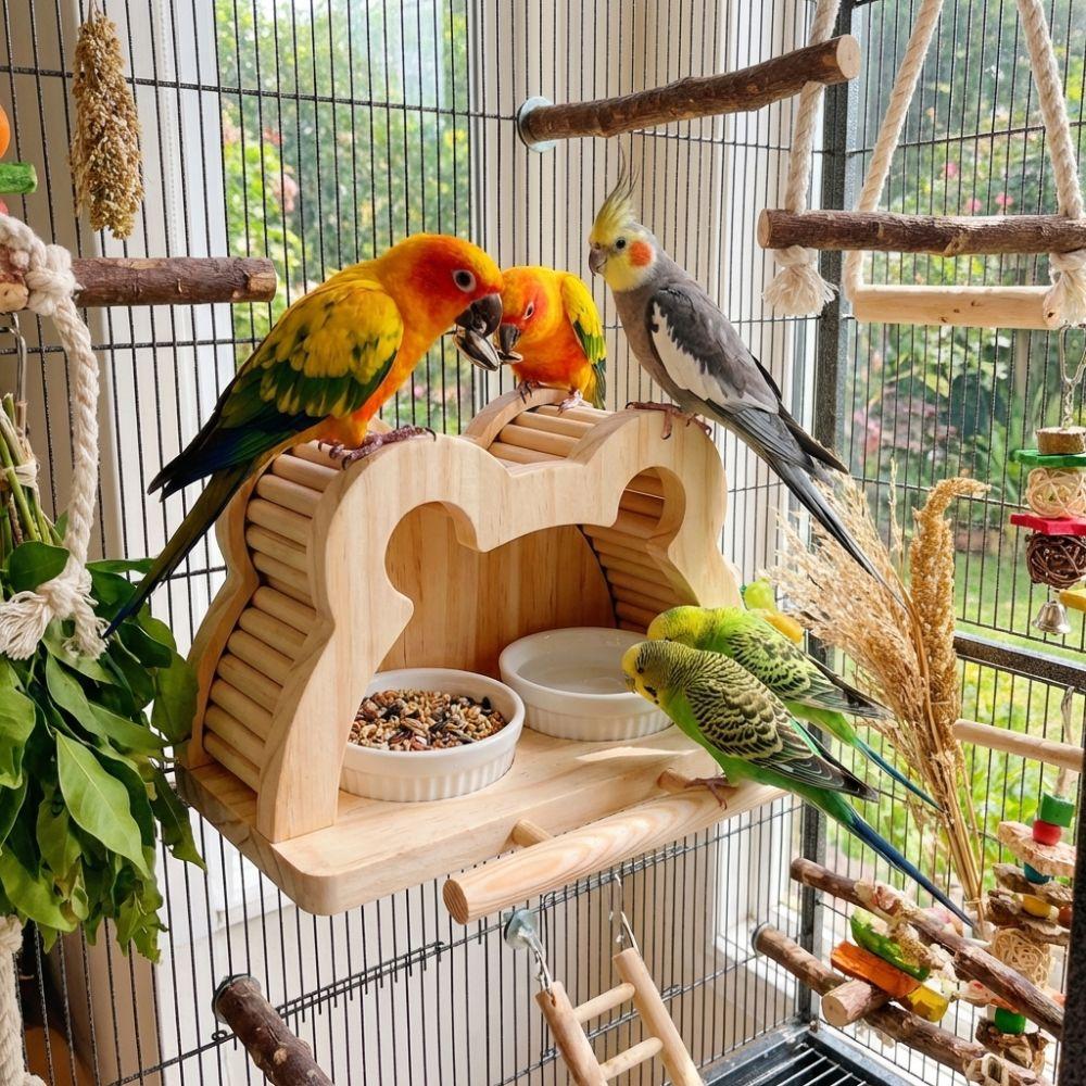 Splash-proof Bird Feeding Station Large Capacity Bird Perch Play Toy Food Dispensers Aviary Use