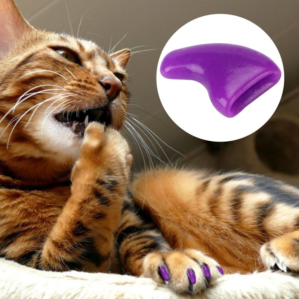 100 шт. мягкие чехлы для когтей из ПВХ для кошек, набор украшений для ухода за лапами(Фиолетовый М)