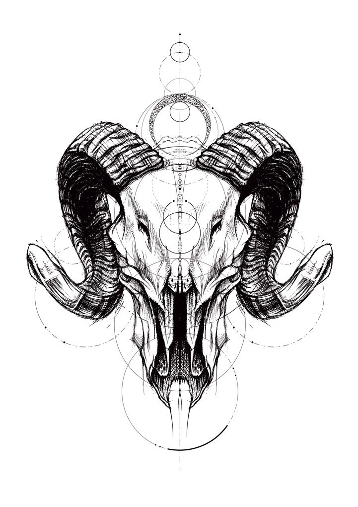 Poster Sketch Skull Geometry