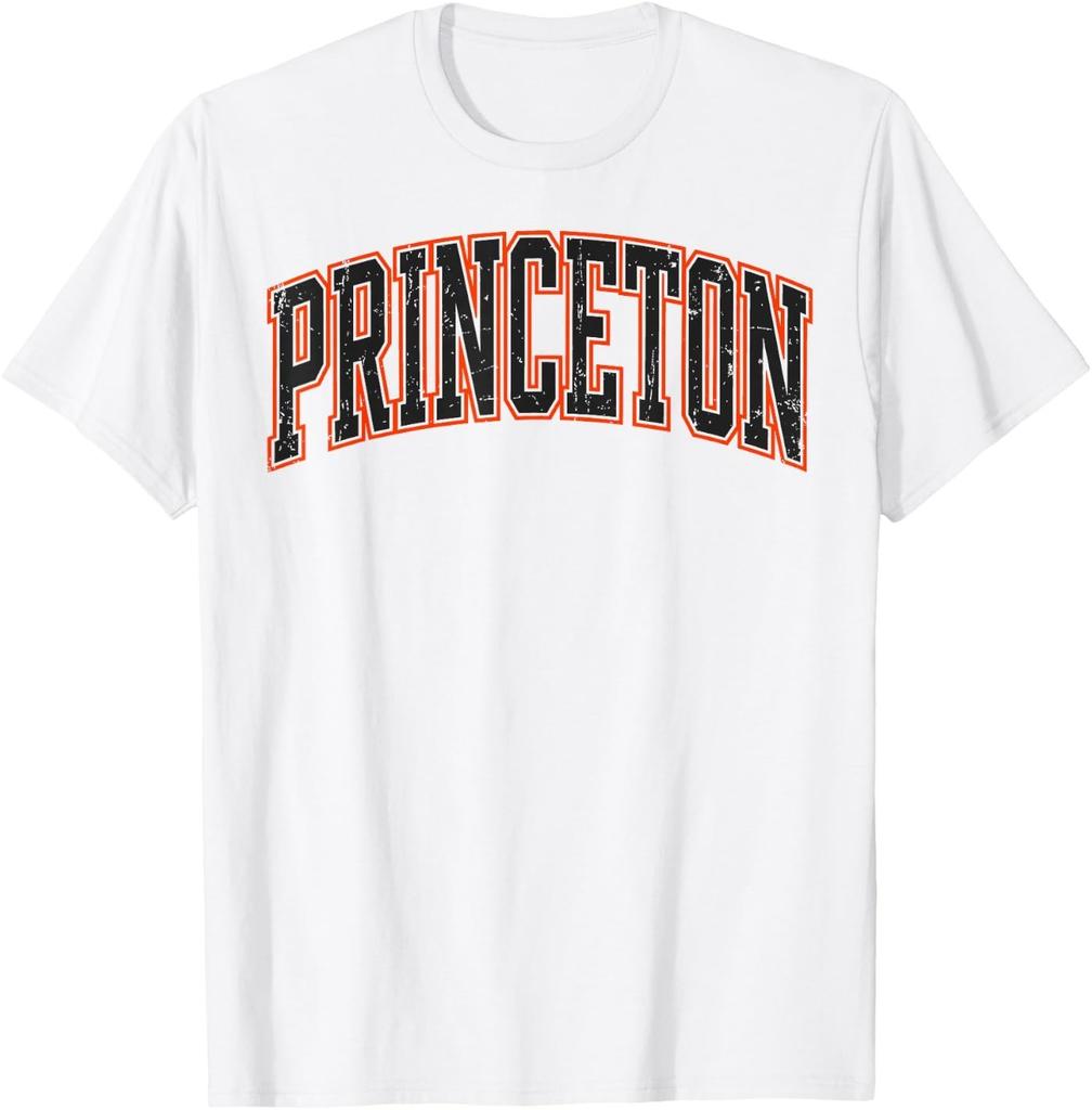 Princeton New Jersey Vintage Design T-Shirt