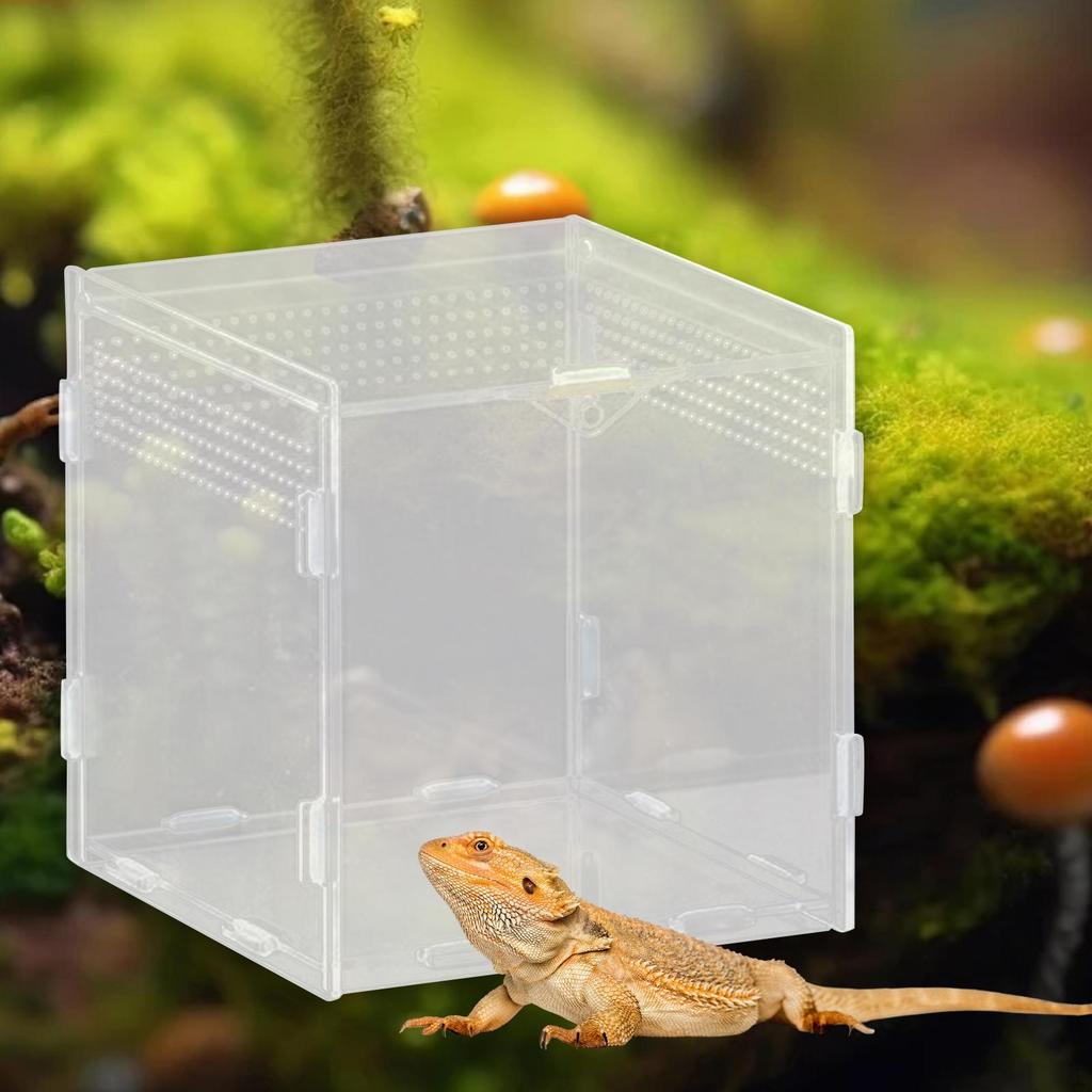 Reptile Breeding Box Animal Habitat Cage Clear Terrarium Enclosure for Geckos Young