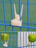5 Pcs Bird Parrot Fruit Fork Pet Supplies Plastic Food Rack Cage Feeding Pet Supplies Fruit Snack Fork Bird Cage Accessories