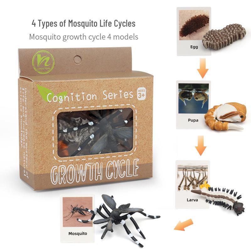 Montessori Animal & Plant Growth Cycle Teaching Toys for Kids