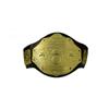 World Heavyweight Wrestler Champion WWE Big Gold Belt for Wear and Display