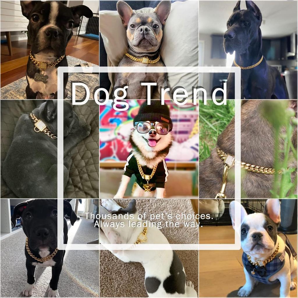 Designer Dog Collar Gold Metal Stainless Steel with Zirconia Lock 14mm 18K Gold Big Dog Luxury Training Collar Cuban Lock Link Necklace Chain(10