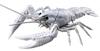 Fujimi Модель Бесплатная исследовательская серия Существа Американский рак Цветная пластиковая модель Бесплатная исследовательская № 24 EX-2 (белый) Немасштабный 24EX-2