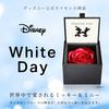 AMOROSA Консервированные цветы Бриллиантовая роза в коробке 85 Disney СПАСИБО Ярко-красный Белый День Рождественский подарок Цветок День рождения Годовщина Предложение DS85THA