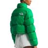 THE NORTH FACE Down Jacket Unisex Green NF0A5GGEPO8