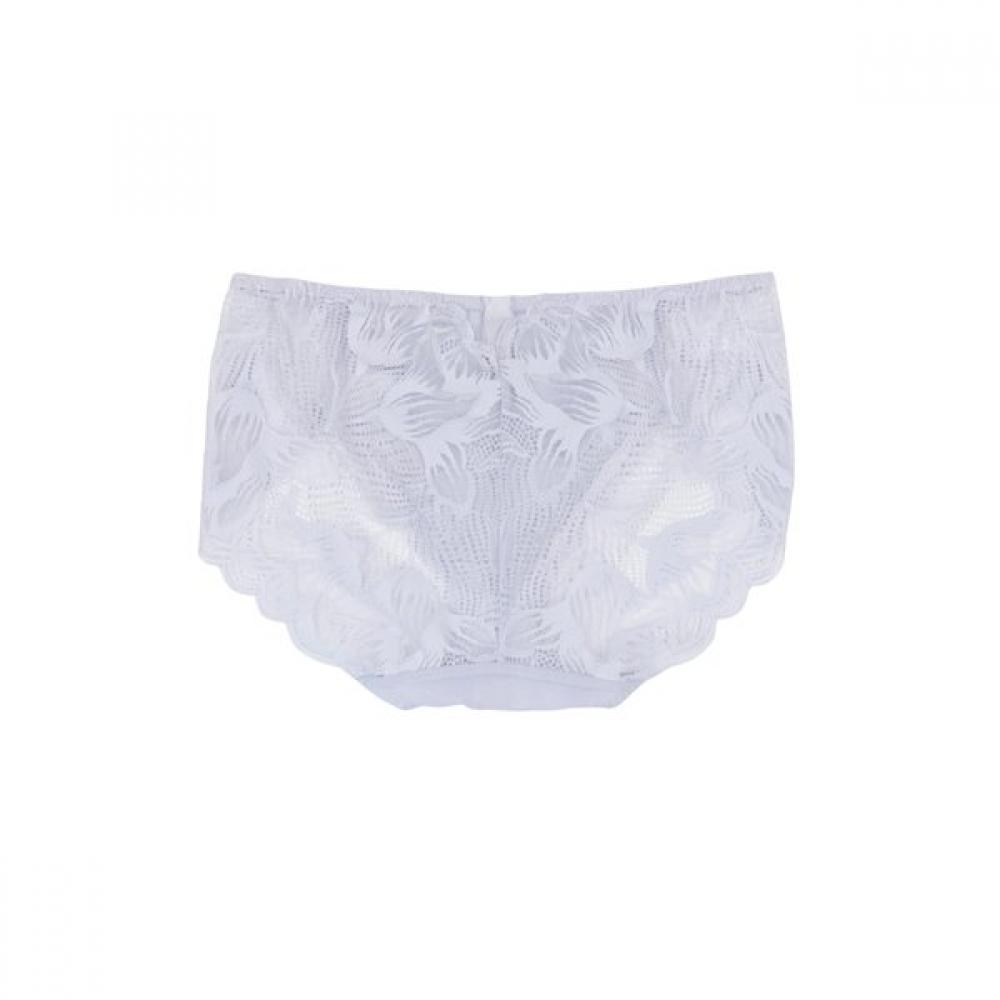 Barbara Full Lace Panty 2color Abp4808