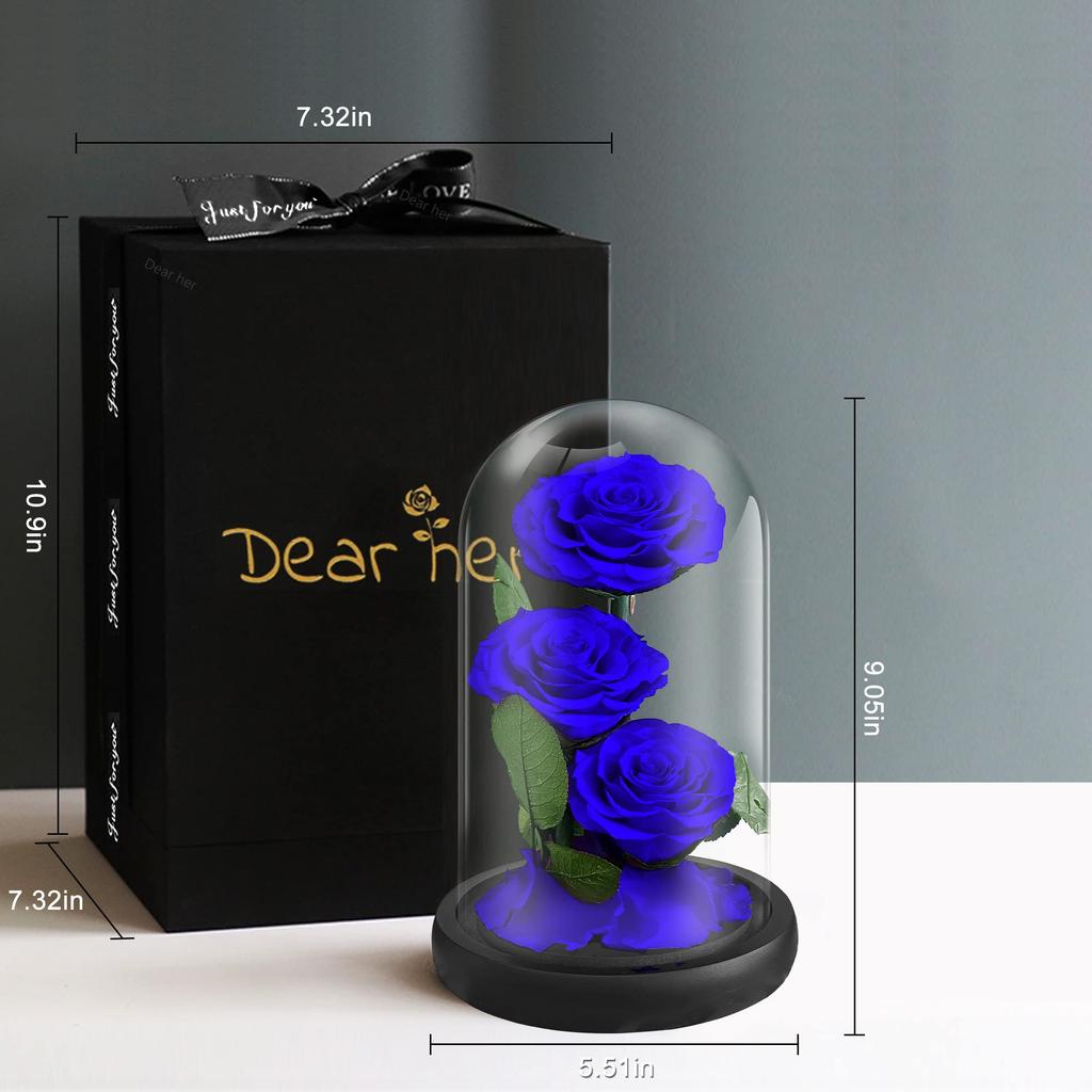 Luckystar Beauty and The Beast Handmade preserved flowers made with real never eternal 3 blooms in a glass gift perfect for anniversary or as a gift