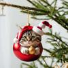 2D Acrylic Funny Cat Christmas Ornament Modern Home Decoration Car Pendant Hanging Tree Ornament 2025
