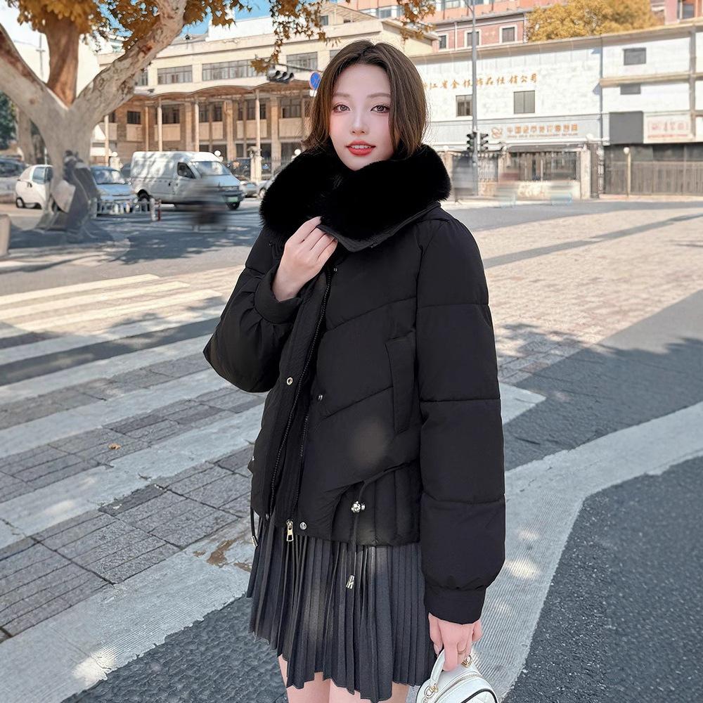 Winter new women's down cotton clothes fashionable foreign style lapel collar large fur collar warm cotton-padded jacket
