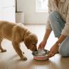 Wide Mouth Cat Food Bowls Anti-Tip Dog Food Dish Stainless Steel Dog Bowl  Pet Drinking Feeding
