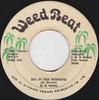 7-дюймовая пластинка B. В. SEATON Joy In The Morning WB117 Weed Beat 1982 Ямайка Регги Ска Даб Б/У