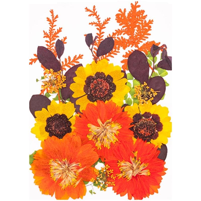 Натуральные сушеные цветы для эпоксидных форм Набор сухих цветов и листьев для искусства, ремесла, изготовления свечей, ювелирных изделий, скрапбукинга