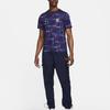 Nike Мужская футболка Nike Dri-FIT для предматчевых тренировок сборной Англии Academy Pro с коротким рукавом FJ2725-555