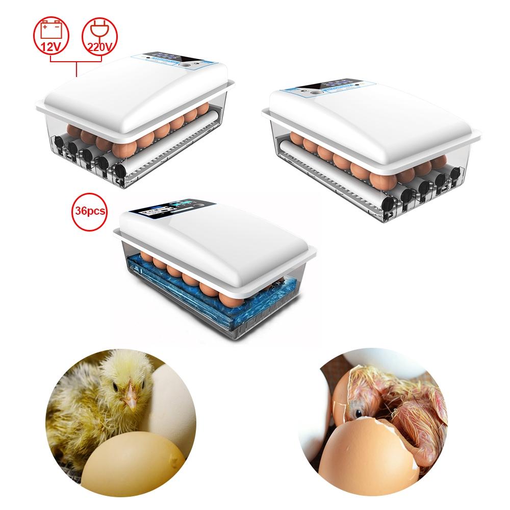 PP 36 Eggs Automatic Digital Turning Incubators Chicken Chick Farm Hatcher Temperature Control for Chicken Eggs Incubator New 39*24*17cm