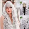 Synthetic Hair Grey Wig for Women Girls Long Curly Wig Natural Fluffy Cosplay Costume Halloween Lolita Older Ladies Wig