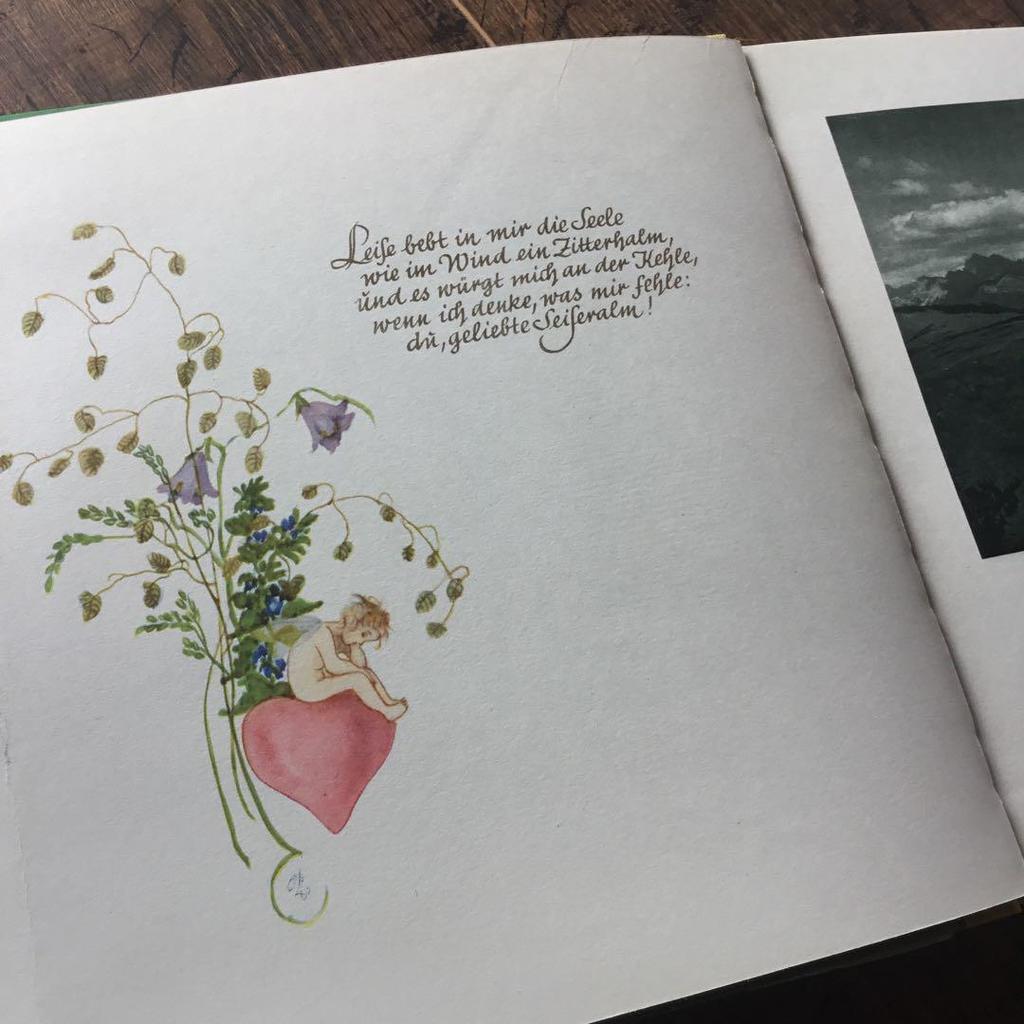 [Б/У] Иностранные книги, немецкие иллюстрированные книги, винтажные книги, ботанические