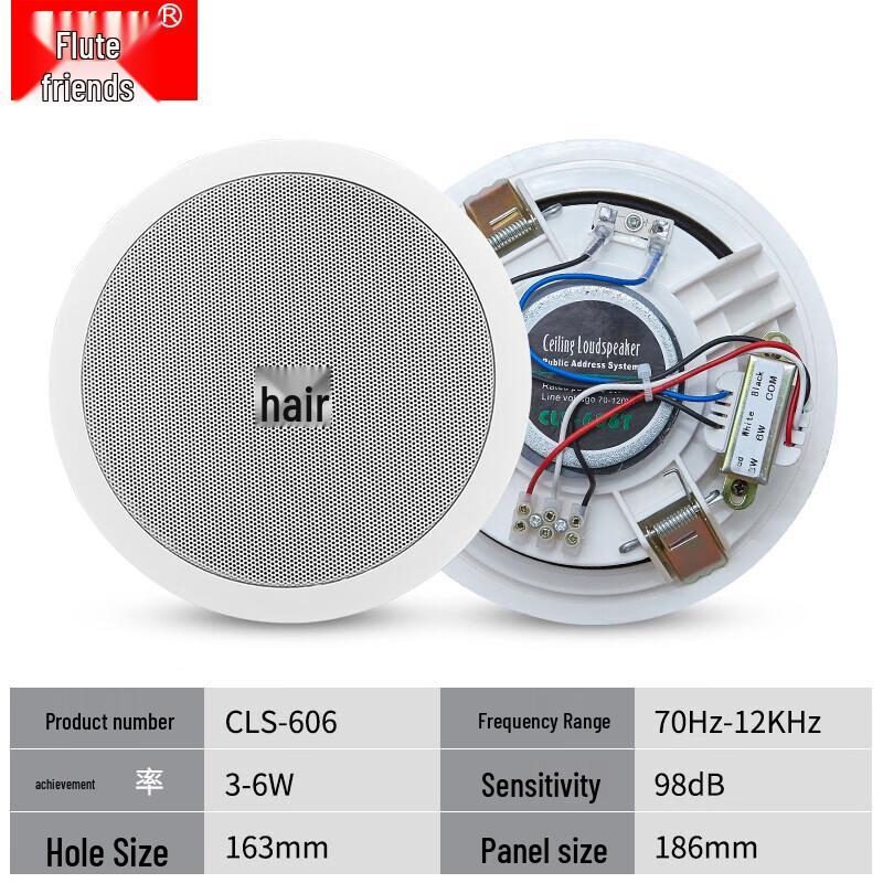 Diyou Ceiling Speaker & Amplifier Public Address System CN plug (adapter included) (CN version)