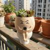Cartoon Flower Planter Resin Plant Cultivation Pot Table Decor Plant Growing Container  Office