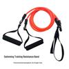 Elastic Multifunctional Resistance Band for Arm Training and Freestyle Sculling with Hand Paddles