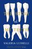 Книга The Story of My Teeth