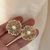 Exaggerated Metal Irregular Flower Stud Earrings For Women Fashion Pearl Hollow Earrings Personality Party Jewelry Party Gifts