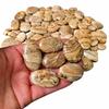 Wholesale Picture Jasper Cabochons, Mixed Shape Gemstones, Loose Jasper Stones for Jewelry Making, Natural Picture Jasper Cabochon Lot