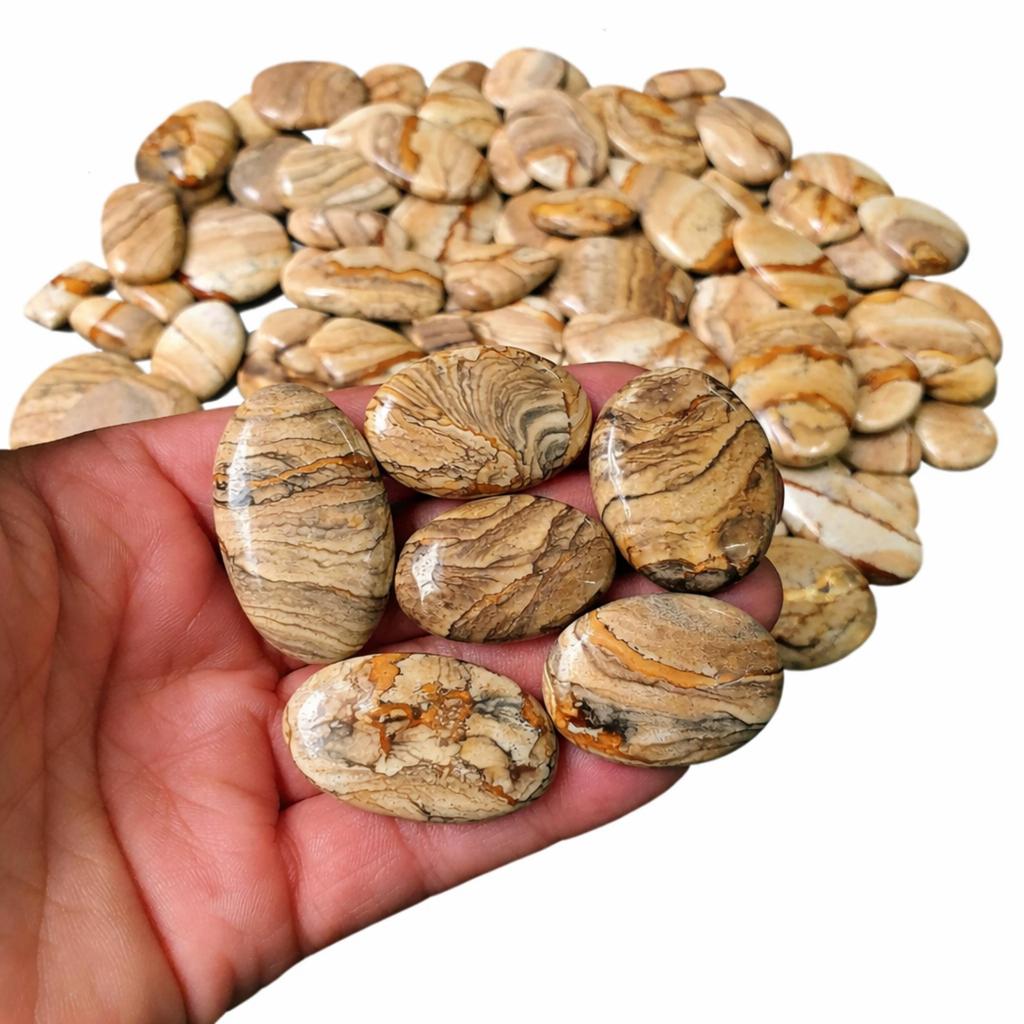Wholesale Picture Jasper Cabochons, Mixed Shape Gemstones, Loose Jasper Stones for Jewelry Making, Natural Picture Jasper Cabochon Lot