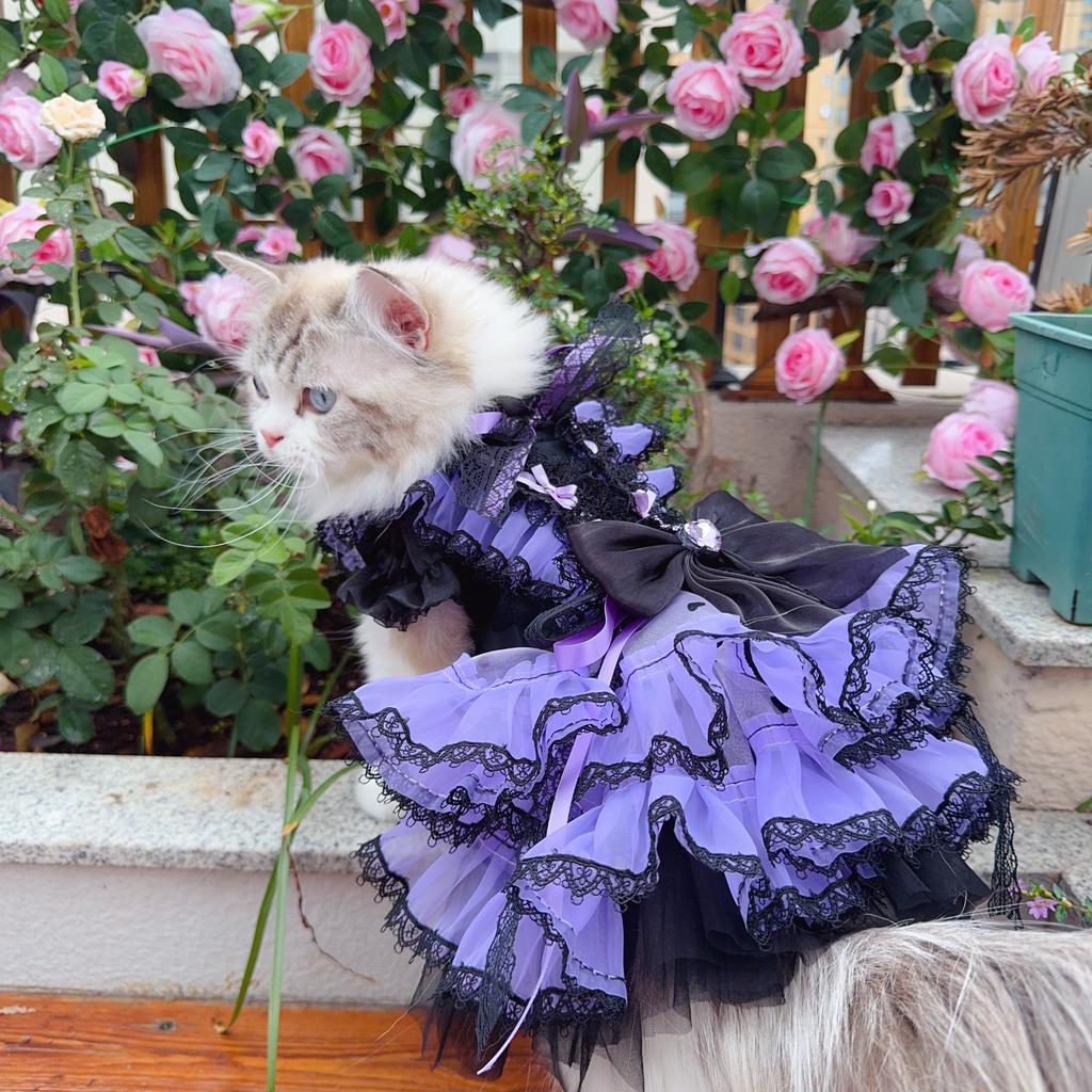 Luxury Handmade Puppy Dog Costumes Fine Fashion Black Purple Lace Bow Long Tail Princess Dress For Small Medium Dog Pet Clothes