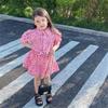 Children Clothes 2023 Summer New Girls Pink Leopard Print Puff Sleeves Crop Shirt Top and Mini Skirt Suit Kids Fashion Sets